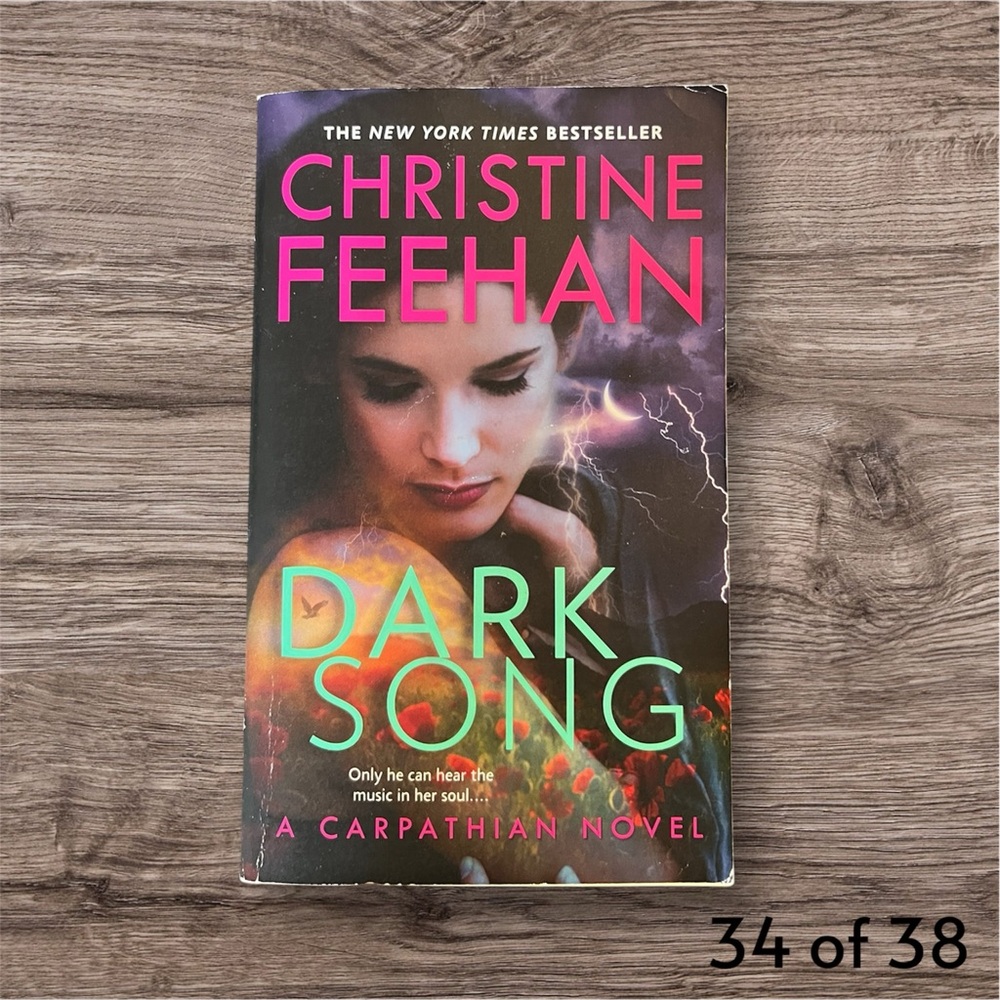 Dark Song by Christine Feehan Paperback